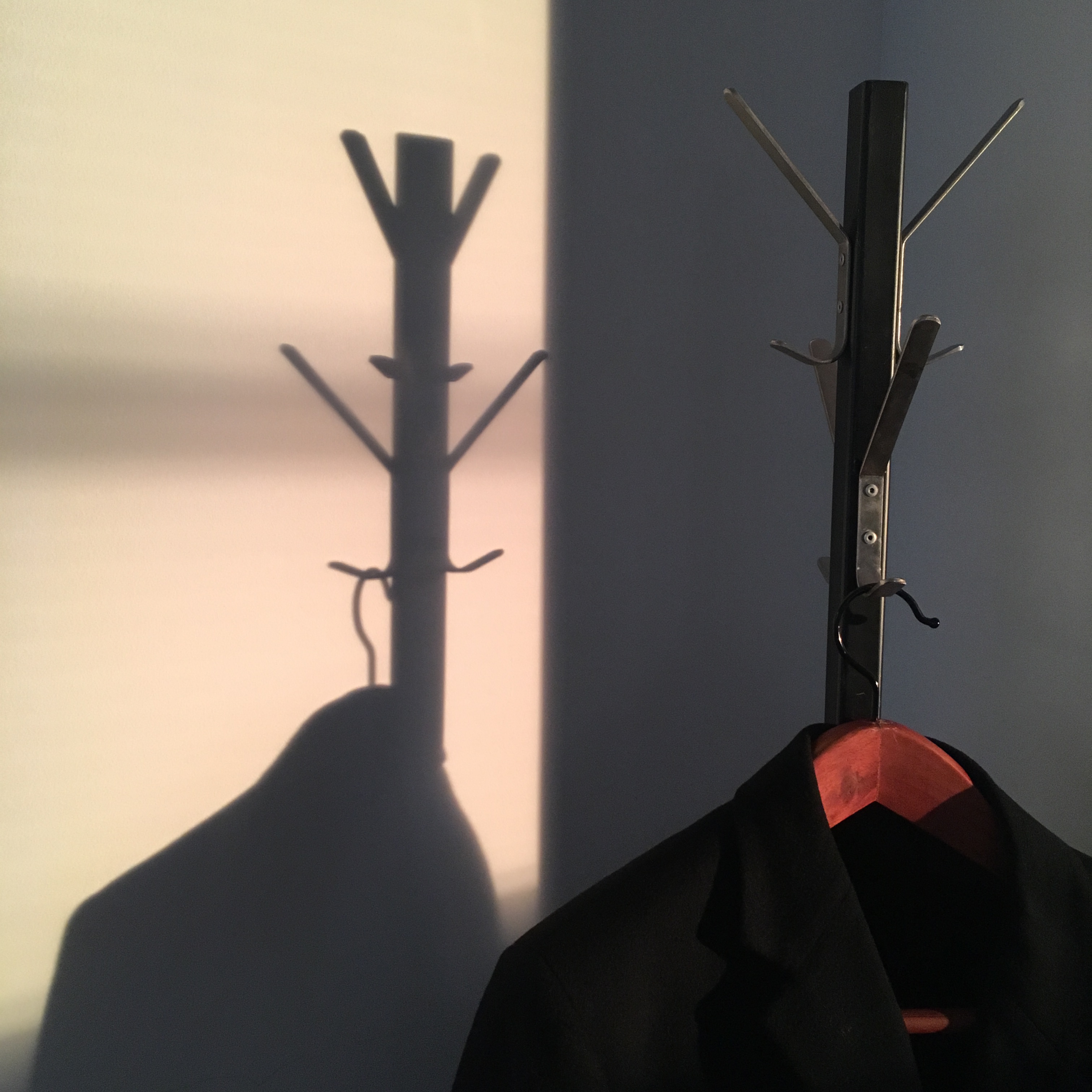 Shadows. By Stuart Murray