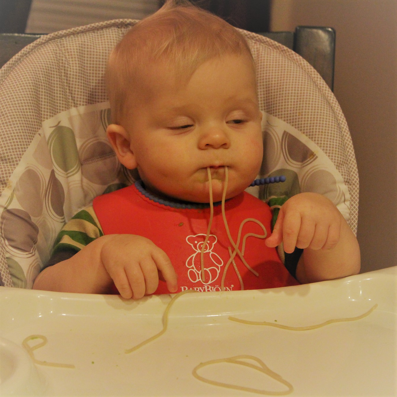 IMG_0580 by Brent (2)