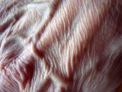 Landscape. byi Rosmarie Voegtli